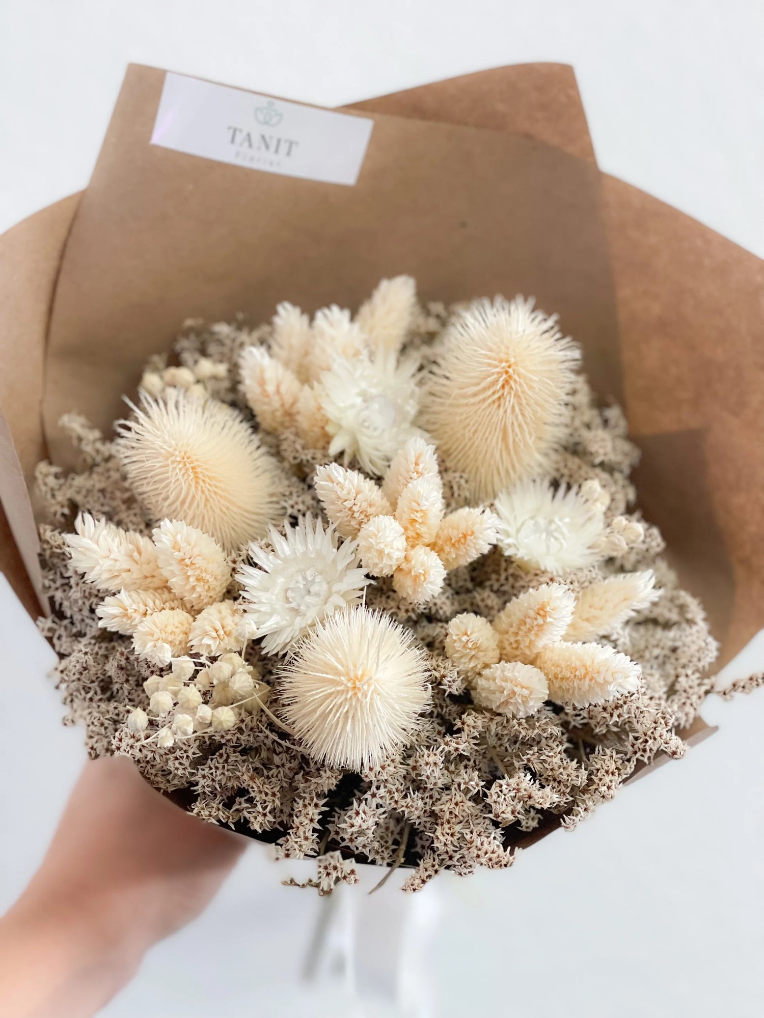 Dried & Preserved Flowers