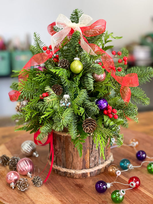 The Mini Christmas Tree Tanit Florist